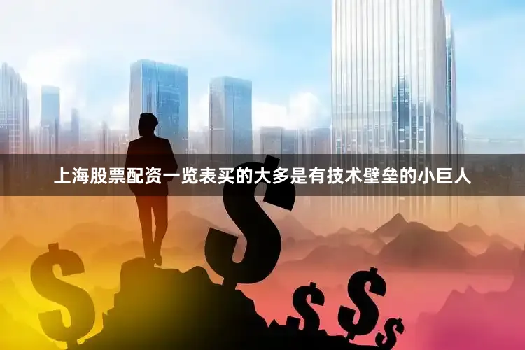 上海股票配资一览表买的大多是有技术壁垒的小巨人